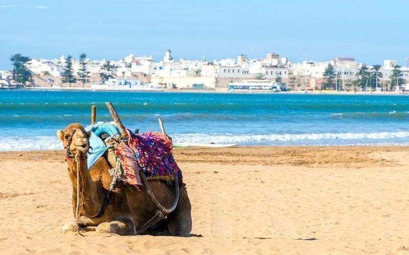 Appartement Essaouira Proche De La Mer Екстер'єр фото